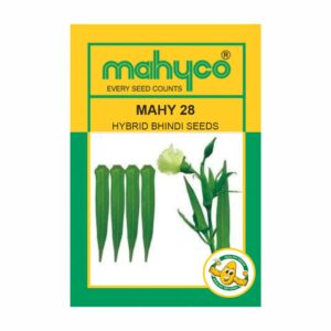 mahyco BHINDI HY. MAHY 28 (Imidacloprid) 100 GM