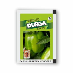 DURGA hybrid CAPSICUM GREEN WONDER F1 (kitchen garden packet) (Minimum 10 Packets)