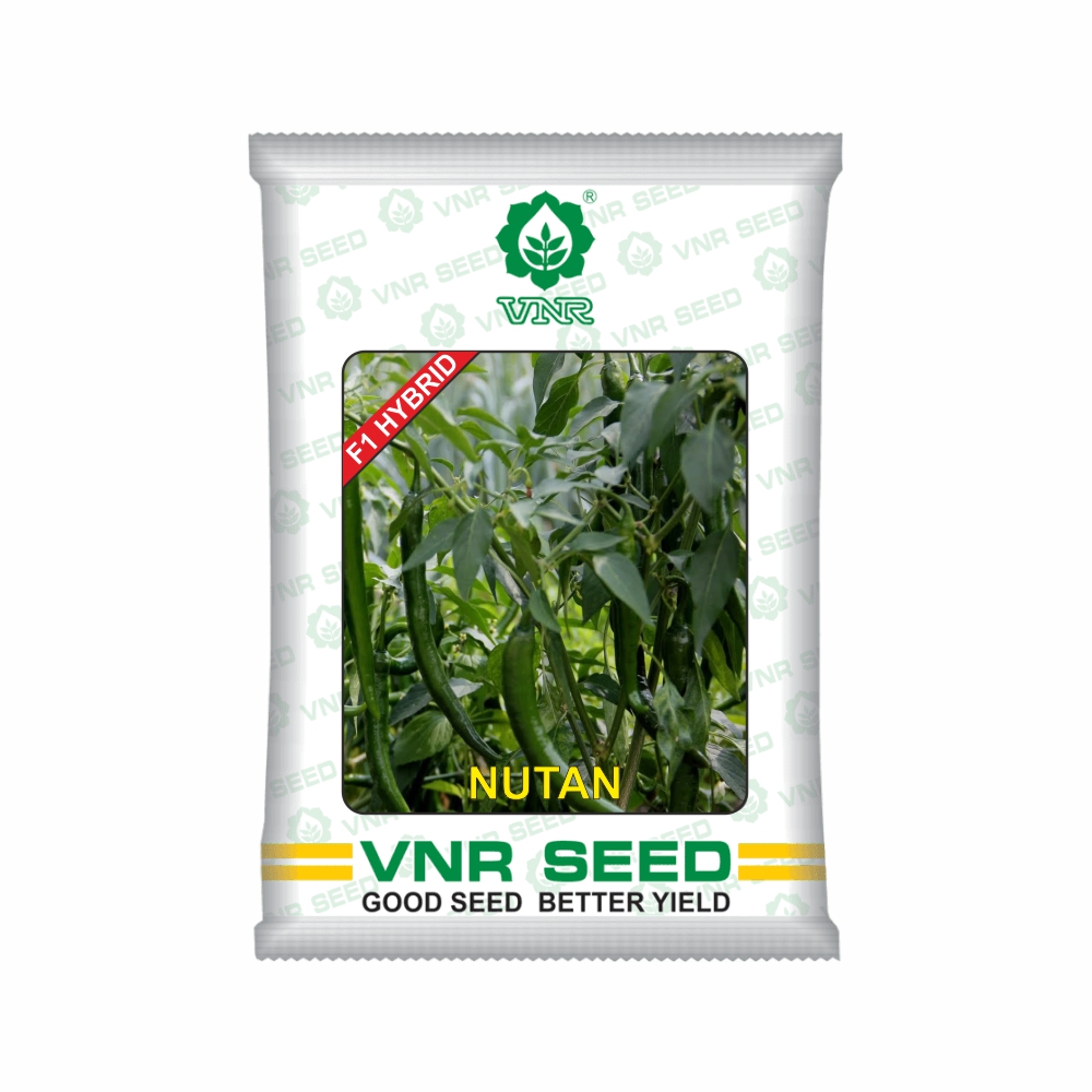 VNR f1 CHILLI HYBRID nutan (10 gm) - LeafConAgro