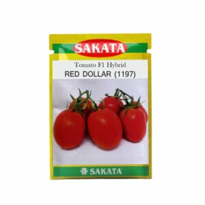 SAKATA TOMATO F1 RED DOLLAR (1197) (2 GM) (POUCH)